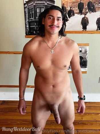 hungnextdoorbull