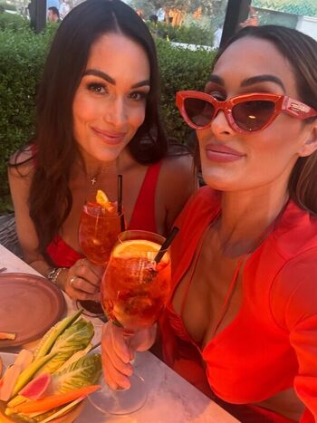 Full leaked The bella twins private onlyfans photo
